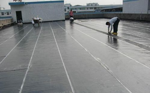 如何鑒定防水卷材和防水涂料的質量？簡單幾招保障防水效果