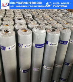 深入解析杭州與山東巨洋耐根穿刺防水卷材 關(guān)鍵技術(shù)、檢測(cè)標(biāo)準(zhǔn)與市場(chǎng)應(yīng)用